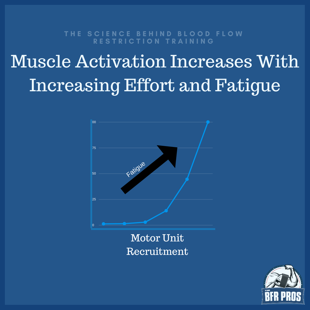 Header image for 'The Science Behind Blood Flow Restriction, Part 3'
